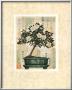 Azalea Bonsai by Richard Henson Limited Edition Print