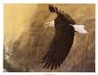 On Eagles Wings by Robert Travers Limited Edition Print