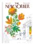 The New Yorker Cover - April 7, 1973 by Joseph Low Limited Edition Print