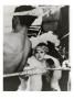 Vanity Fair - July 1934 by George Hoyningen-Huene Limited Edition Print