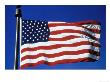 American Flag Waving In The Air by Doug Mazell Limited Edition Print