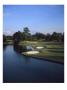 Atlanta Athletic Club, Hole 8 by Stephen Szurlej Limited Edition Print