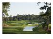 Tpc Sawgrass Stadium Course, Hole 4 by Stephen Szurlej Limited Edition Print