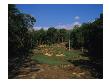 Tot Hill Farm Golf Club, Hole 6 by Dom Furore Limited Edition Print