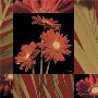 Crimson Gerberas by Katrina Craven Limited Edition Print