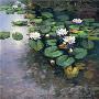 Waterlilies Ii by Joop Smits Limited Edition Print