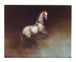 The Stallion by Kaiko Moti Limited Edition Pricing Art Print