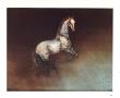 The Stallion by Kaiko Moti Limited Edition Print