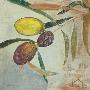Oliva by Rose Richter-Armgart Limited Edition Print