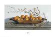 Nuts And Oranges by Pauline Eble Campanelli Limited Edition Print