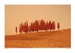 Sunset, Tuscany by W. Krecichwost Limited Edition Print