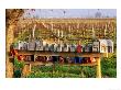 Letter Boxes On Vineyard Lane, Napa, U.S.A. by Oliver Strewe Limited Edition Print