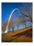 Autumn Trees Below Gateway Arch, Jefferson National Expansion, St. Louis, Missouri, Usa by Scott T. Smith Limited Edition Print