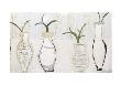 Growing Out by Juliane Sommer Limited Edition Print