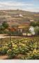 Vineyard View by Rosa Chavez Limited Edition Pricing Art Print