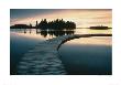 Boardwalk At Elk Island National Park by Anon Limited Edition Print