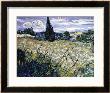 Landscape With Green Corn by Vincent Van Gogh Limited Edition Print