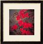Chinese Hibiscuses by Minrong Wu Limited Edition Print