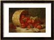 Strawberries In A Wicker Basket On A Ledge, 1895 by Eloise Harriet Stannard Limited Edition Print