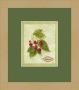 Bookplate Raspberries by Susan Eby Glass Limited Edition Print