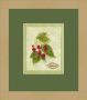 Bookplate Raspberries by Susan Eby Glass Limited Edition Print