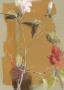 Grand Hibiscus A Voie Ocre by C. Bernarduchãªne Limited Edition Print