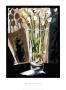 Elegant Tulips by Ruby Adams Limited Edition Pricing Art Print