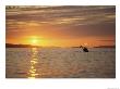 Kayaking At Sunset On Hudson Strait by John Dunn Limited Edition Print