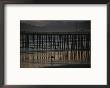 A Surfer Walks Up The Beach Near A Pier At Twilight by Michael S. Lewis Limited Edition Print