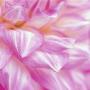 Pink Flower Petals by Heide Benser Limited Edition Print