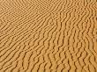 Africa, Namibia, Namib Desert, Dune Structure, Full Frame by Fotofeeling Limited Edition Print