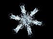 Stellar Snow Crystal by Richard Walters Limited Edition Print