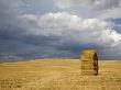 Italy, Tuscany, Stacked Bales Of Straw On Corn Field by Fotofeeling Limited Edition Print
