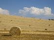 Italy, Tuscany, Bales Of Straw On Harvested Corn Fields by Fotofeeling Limited Edition Pricing Art Print
