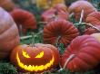 A Jack-O-Lantern In A Pumpkin Patch, British Columbia, Canada. by David Nunuk Limited Edition Pricing Art Print