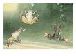 The Aglossa Frogs Are Aquatic, Coming Up For Air Every Few Minutes. by National Geographic Society Limited Edition Print