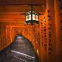 Fushimi Inari-Taisha Shrine by Jonathan Hicks Limited Edition Print