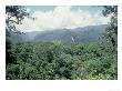 Mulu National Park, Borneo, Weather Time-Lapse, 11.45 Am by Rodger Jackman Limited Edition Pricing Art Print