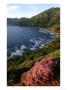 Hout Bay, Cape Peninsula, S. Africa by William Gray Limited Edition Print