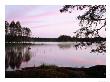 Morning Light In Lake Havkkajarvi, South Finland by Heikki Nikki Limited Edition Print