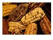 Peruvian Corn, Peru by Pete Oxford Limited Edition Pricing Art Print