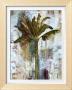 Royal Palm by Sofi Taylor Limited Edition Pricing Art Print