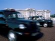 Taxis In Front Of Buckingham Palace, London, England, United Kingdom by Brigitte Bott Limited Edition Pricing Art Print