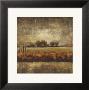Field At Dawn Ii by Albert Williams Limited Edition Pricing Art Print