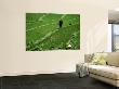 Man In Rice Field Between Dali And Kunming by Amerens Hedwich Limited Edition Pricing Art Print