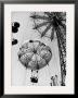 Couple Taking A Ride On The 300 Ft. Parachute Jump At Coney Island Amusement Park by Marie Hansen Limited Edition Print