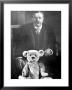 Teddy Bear Placed Before The Formal Portrait Of Pres. Theodore Roosevelt by Nina Leen Limited Edition Print