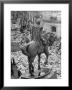 Funeral Wreaths For Evita Peron Cover Street Beneath Statue Of Julio Argentino Roca by Alfred Eisenstaedt Limited Edition Print