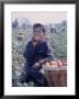 Boy Wearing An Old Scout Shirt, Eating Tomato During Harvest On Farm, Monroe, Michigan by John Loengard Limited Edition Print