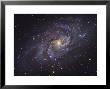 Triangulum Galaxy by Stocktrek Images Limited Edition Pricing Art Print